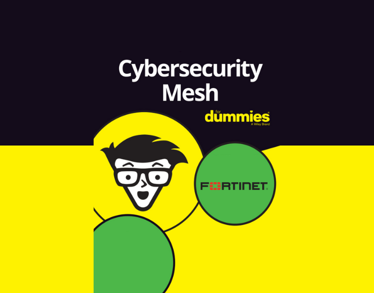 111383264-11138-61824-Fortinet