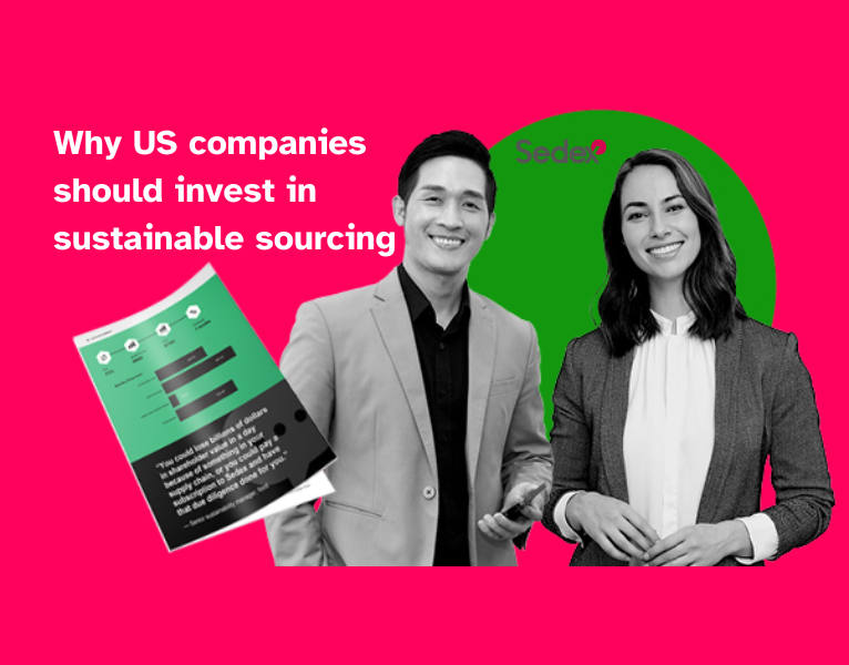 1132455-1132-Sedex-44333-Thumb