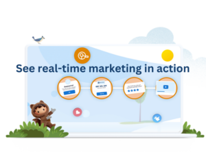 127083782-12708-62204-Salesforce-Thumb