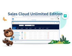 164634744-16463-62917-Salesforce-Thumb