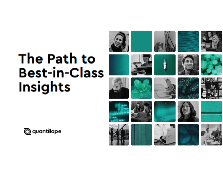 293203-293-Quantilope-44142-Thumb