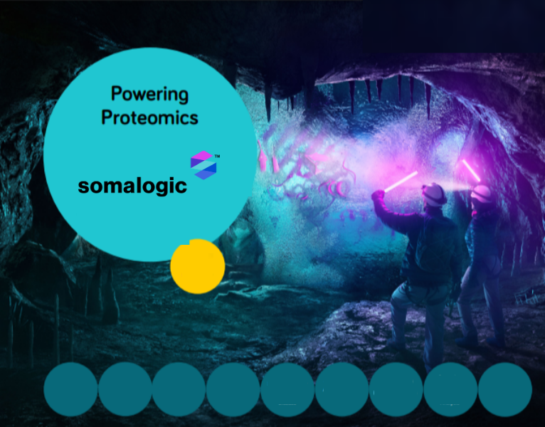 39821908-3982-60513-Texere