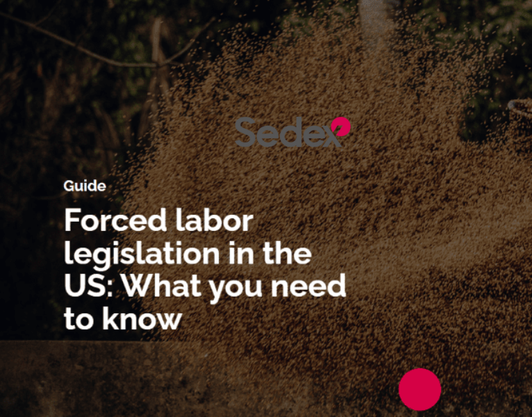 987412-987-44302-Sedex