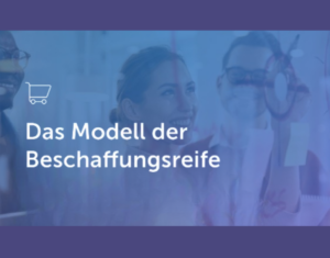 Das Modell der Beschaffungsreife