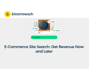 E-Commerce Site Search Get Revenue Now and Later