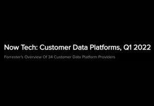 ForresterNowTechAnOverviewof34CustomerDataPlatformProviders
