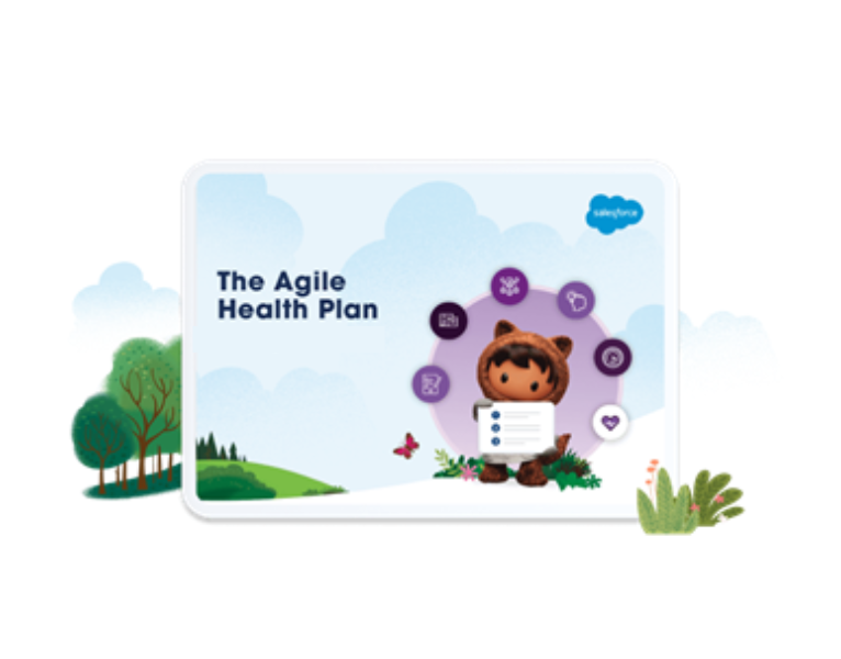 The Agile Health Plan