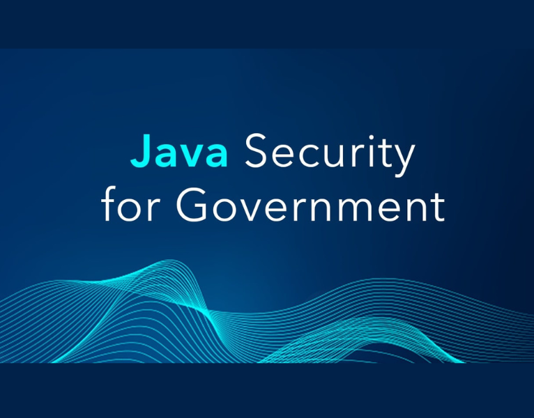 The Branch Chief's Guide to Java Security