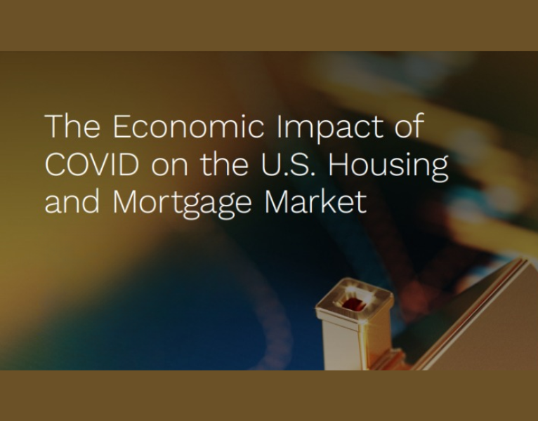The Economic Impact of COVID on the U.S