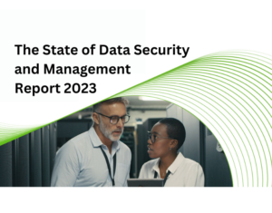 The State of Data Security and Management 2023