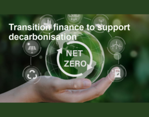 Transition finance to support decarbonisation