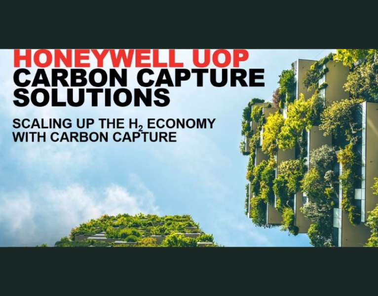 Webinar – Scaling up the Hydrogen Economy with CO2 Capture