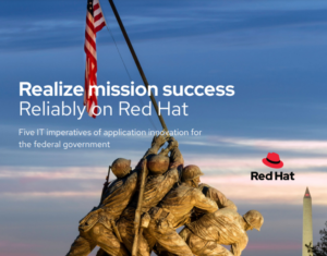 136373954-13637-62325-Red Hat - Nethawk Interactive