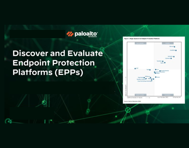 55321394-5532-60611-Palo Alto - Just Global