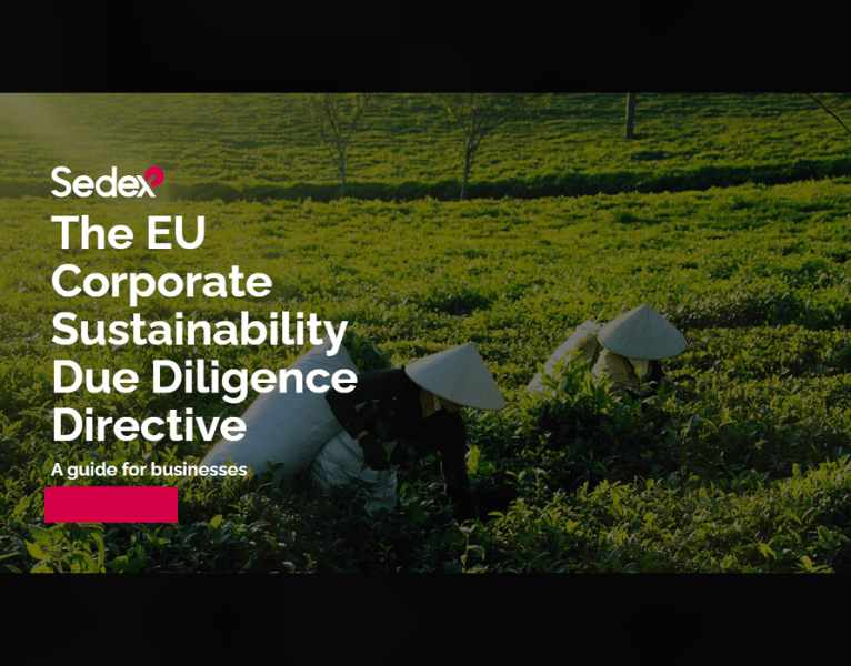 990417-990-44302-Sedex