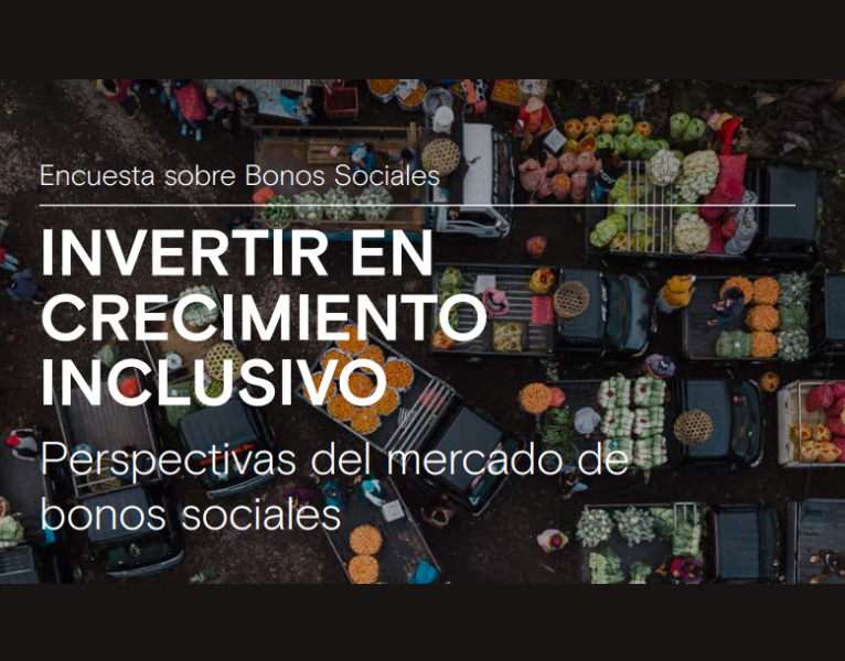 AM Social Bond Survey 2023 - ES