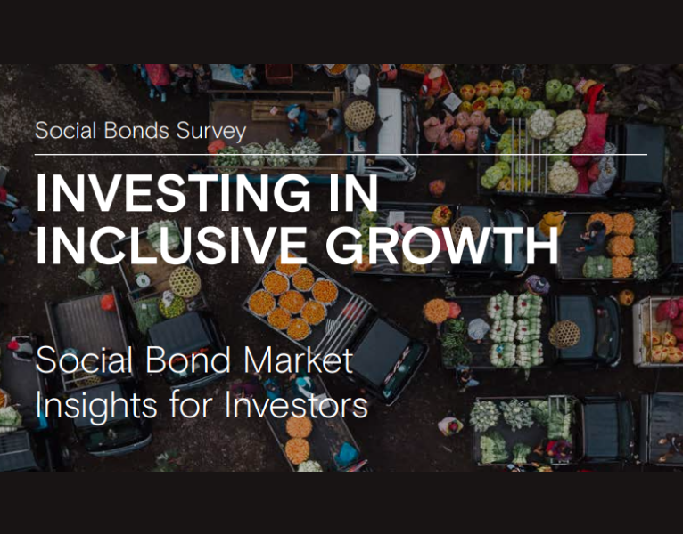 AM Social Bond Survey 2023