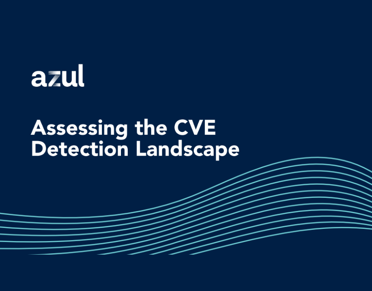 Assessing the CVE Detection Landscape