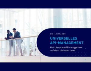 CIO-Leitfaden Universelles API-Management