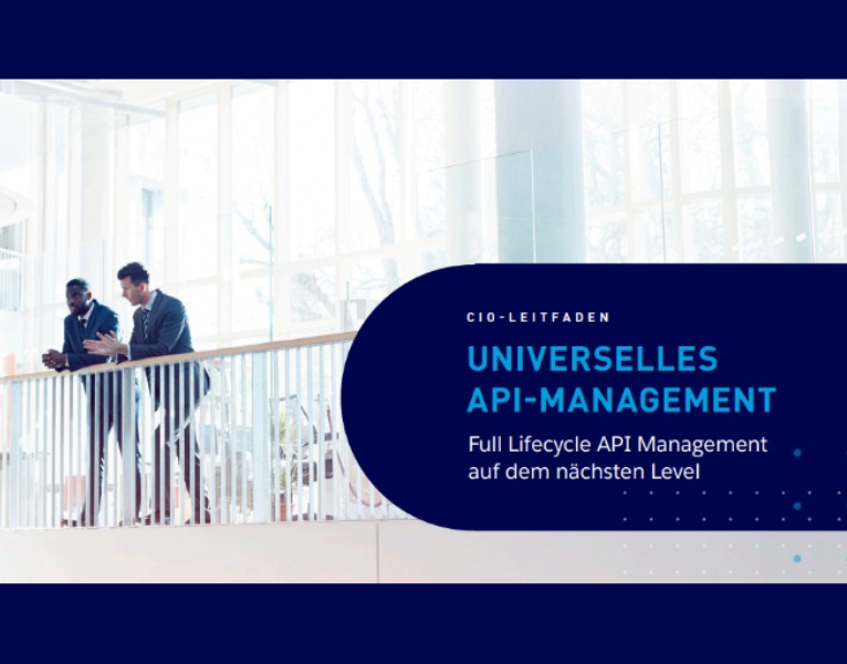 CIO-Leitfaden Universelles API-Management
