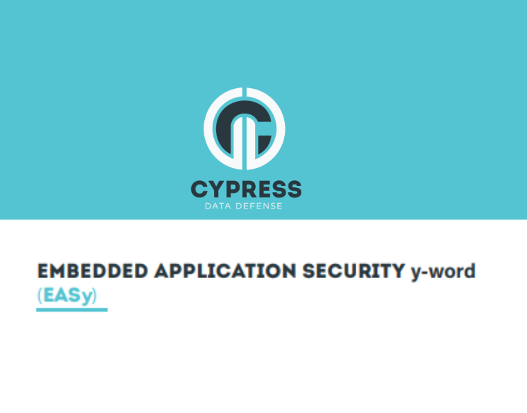 Embedded Application Security y-Word (EASy)