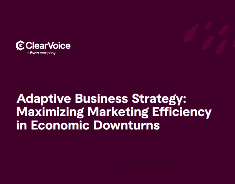 eBook Adaptive Business Strategy Maximizing Marketing Efficiency in Economic Downturns