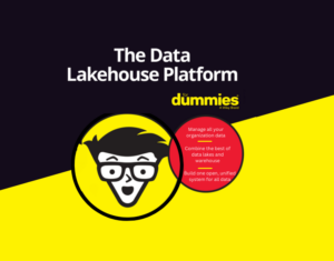 the-data-lakehouse-platform-for-dummies