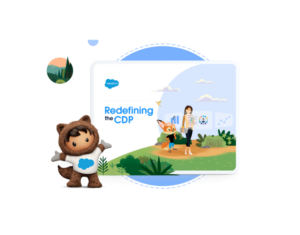 272407589-27240-64985-Salesforce