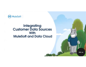64871925-6487-60940-MuleSoft