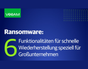 Ransomware 6 Funktionalitäten für schnelle Wiederherstellung speziell für Großunternehmen