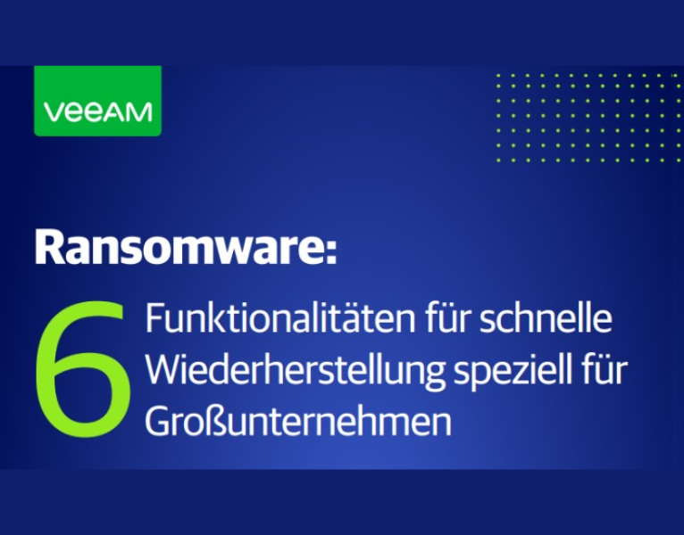 Ransomware 6 Funktionalitäten für schnelle Wiederherstellung speziell für Großunternehmen