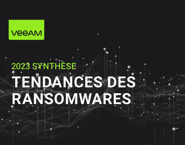 Rapport De Synthèse Europe Rapport sur les tendances des ransomwares en 2023